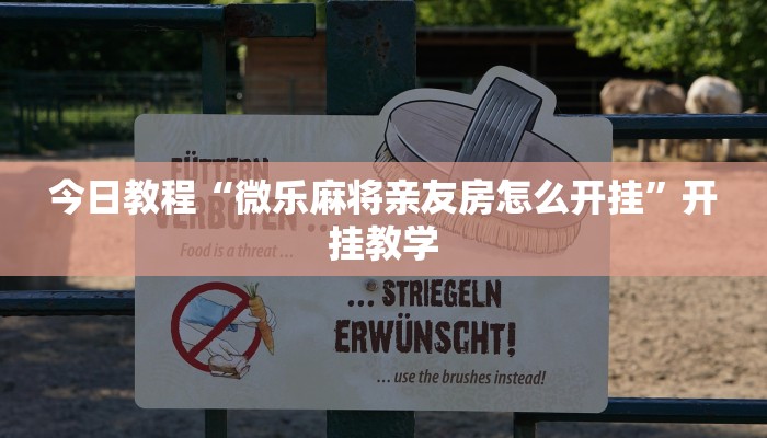 今日教程“微乐麻将亲友房怎么开挂”开挂教学 今日教程“微乐麻将亲友房怎么开挂”开挂教学