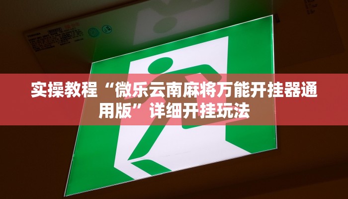 教程辅助“越乡游义乌辅助器下载”其实确实有挂 