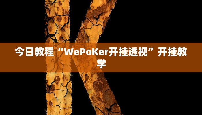 今日教程“WePoKer开挂透视”开挂教学