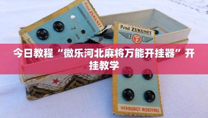 今日教程“微乐河北麻将万能开挂器”开挂教学