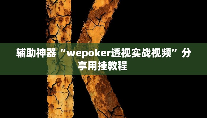辅助神器“wepoker透视实战视频”分享用挂教程 