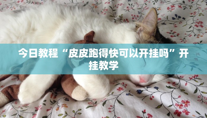 今日教程“皮皮跑得快可以开挂吗”开挂教学