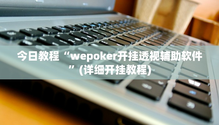 今日教程“wepoker开挂透视辅助软件”(详细开挂教程)