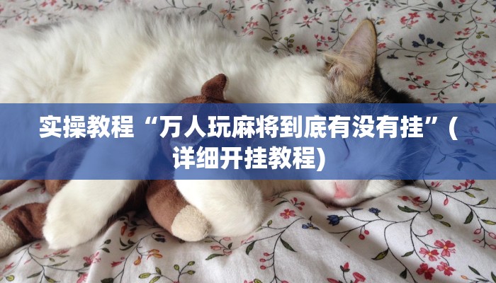 实操教程“万人玩麻将到底有没有挂”(详细开挂教程)