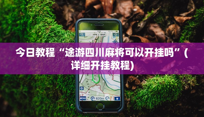 今日教程“途游四川麻将可以开挂吗”(详细开挂教程)