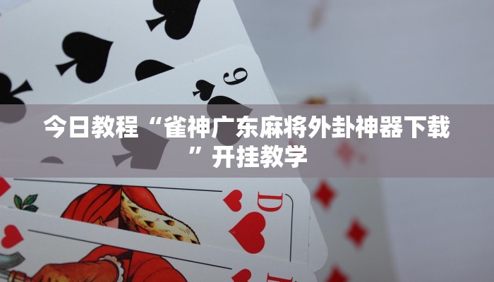 今日教程“雀神广东麻将外卦神器下载”开挂教学