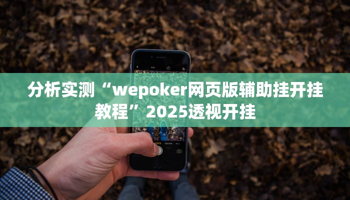 分析实测“wepoker网页版辅助挂开挂教程”2025透视开挂