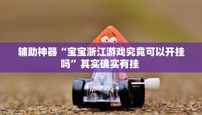 辅助神器“宝宝浙江游戏究竟可以开挂吗”其实确实有挂 