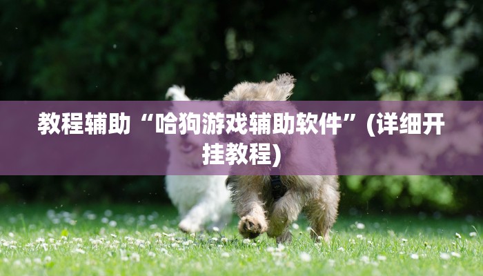 教程辅助“哈狗游戏辅助软件”(详细开挂教程)