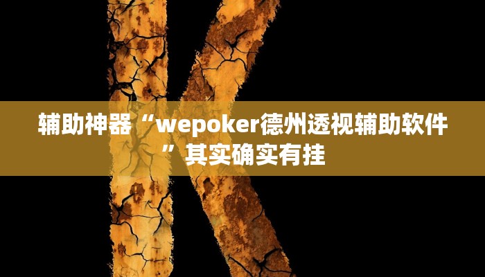 辅助神器“wepoker德州透视辅助软件”其实确实有挂