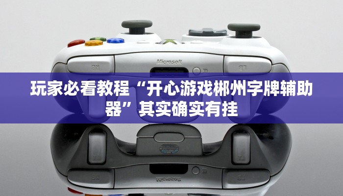 玩家必看教程“开心游戏郴州字牌辅助器”其实确实有挂