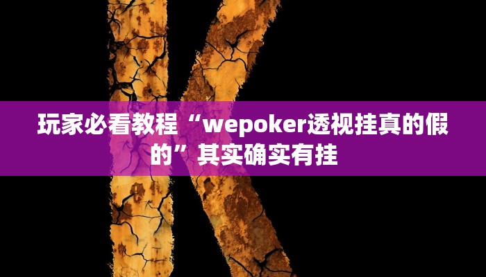 玩家必看教程“wepoker透视挂真的假的”其实确实有挂