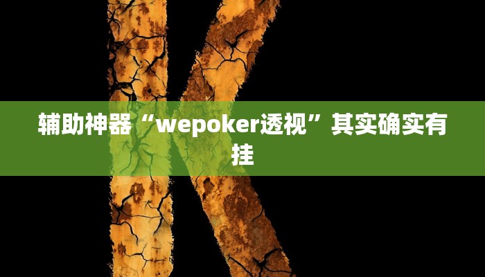 辅助神器“wepoker透视”其实确实有挂