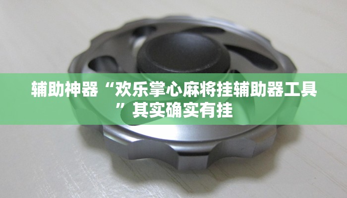 辅助神器“欢乐掌心麻将挂辅助器工具”其实确实有挂