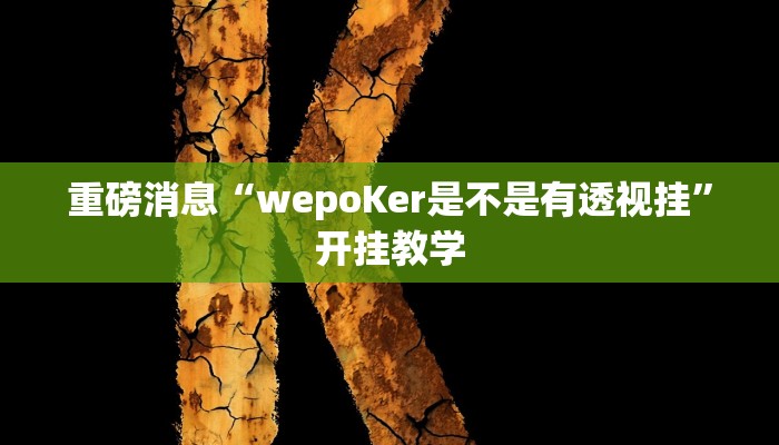 重磅消息“wepoKer是不是有透视挂”开挂教学 重磅消息“wepoKer是不是有透视挂”开挂教学