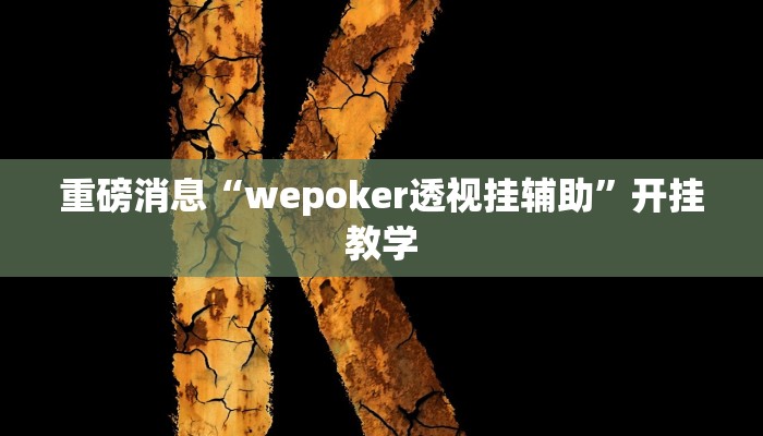 重磅消息“wepoker透视挂辅助”开挂教学