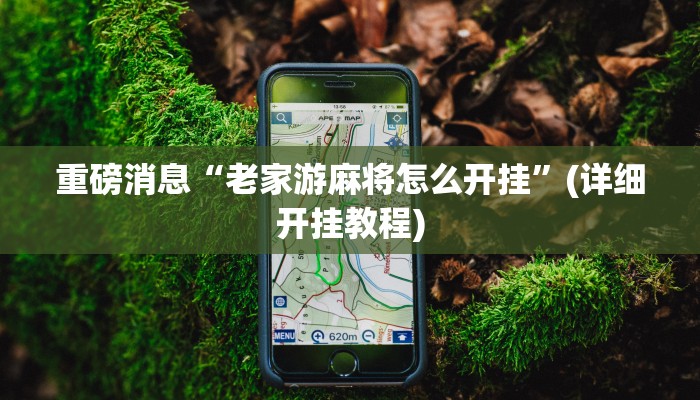 重磅消息“老家游麻将怎么开挂”(详细开挂教程)