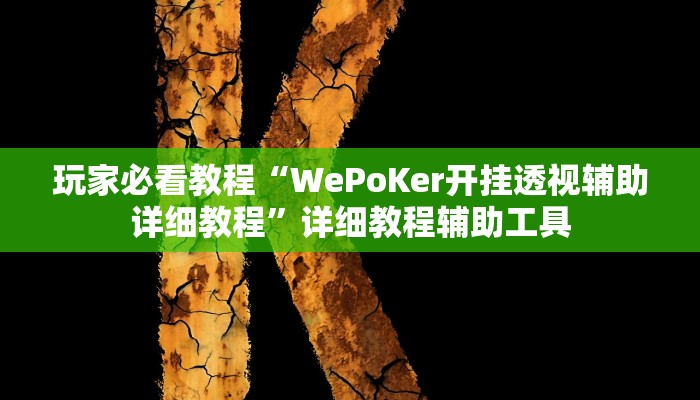 玩家必看教程“WePoKer开挂透视辅助详细教程”详细教程辅助工具