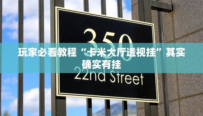 玩家必看教程“卡米大厅透视挂”其实确实有挂