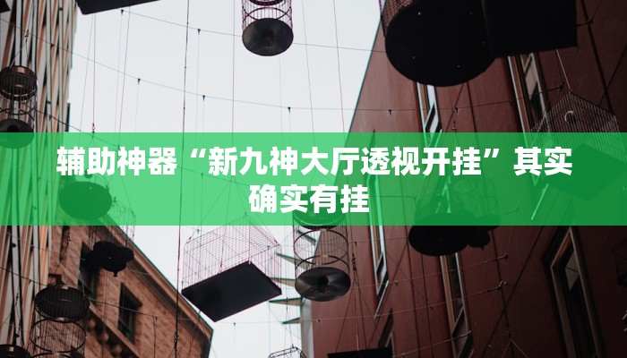 辅助神器“新九神大厅透视开挂”其实确实有挂 