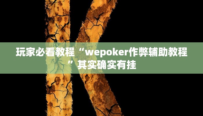 玩家必看教程“wepoker作弊辅助教程”其实确实有挂