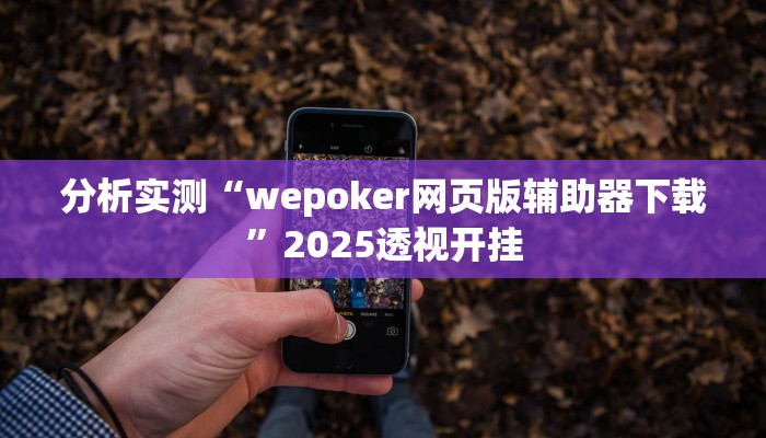 分析实测“wepoker网页版辅助器下载”2025透视开挂