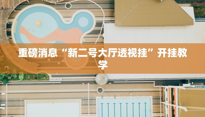 重磅消息“新二号大厅透视挂”开挂教学