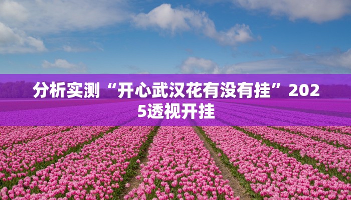 分析实测“开心武汉花有没有挂”2025透视开挂