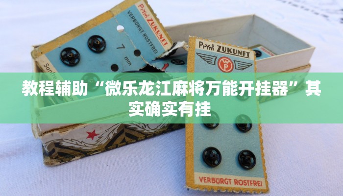 教程辅助“微乐龙江麻将万能开挂器”其实确实有挂 教程辅助“微乐龙江麻将万能开挂器”其实确实有挂