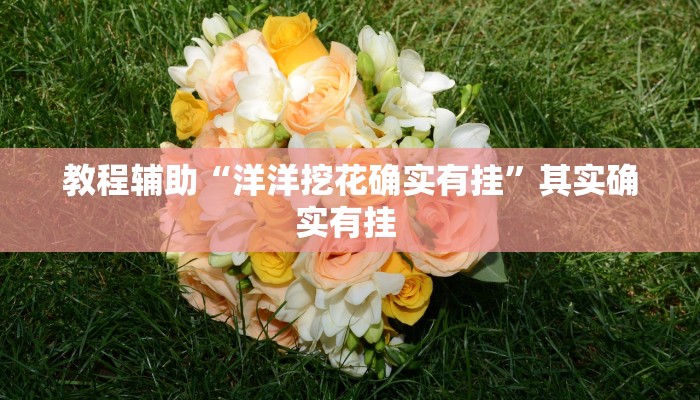 教程辅助“洋洋挖花确实有挂”其实确实有挂 