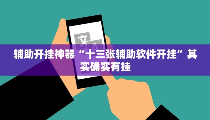 辅助开挂神器“十三张辅助软件开挂”其实确实有挂