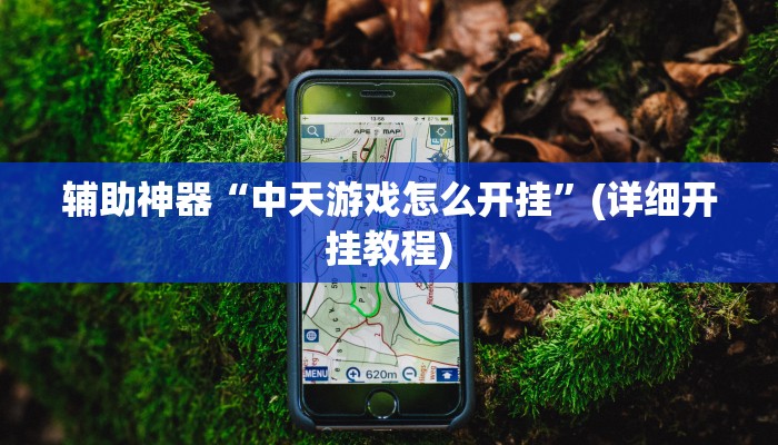 辅助神器“中天游戏怎么开挂”(详细开挂教程)