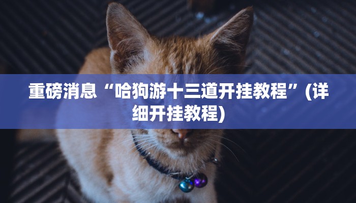 重磅消息“哈狗游十三道开挂教程”(详细开挂教程) 重磅消息“哈狗游十三道开挂教程”(详细开挂教程)