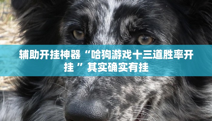 辅助开挂神器“哈狗游戏十三道胜率开挂 ”其实确实有挂