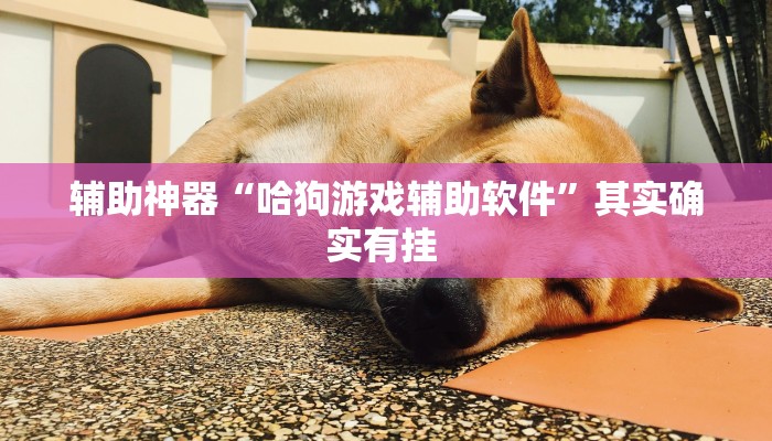 辅助神器“哈狗游戏辅助软件”其实确实有挂 