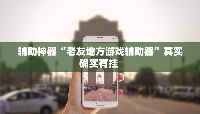 辅助神器“老友地方游戏辅助器”其实确实有挂 