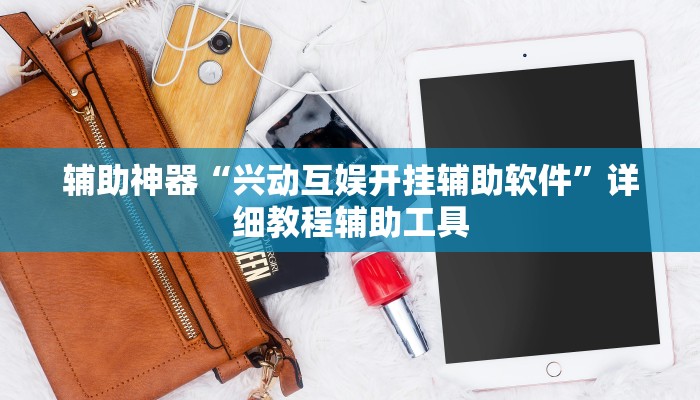 辅助神器“兴动互娱开挂辅助软件”详细教程辅助工具