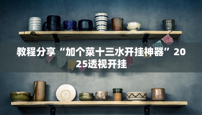教程分享“加个菜十三水开挂神器”2025透视开挂
