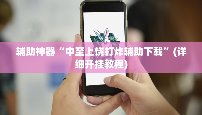 辅助神器“中至上饶打炸辅助下载”(详细开挂教程) 辅助神器“中至上饶打炸辅助下载”(详细开挂教程)