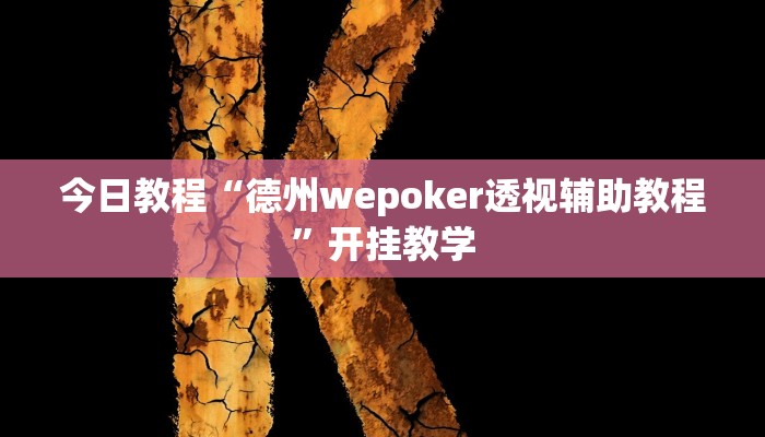 今日教程“德州wepoker透视辅助教程”开挂教学