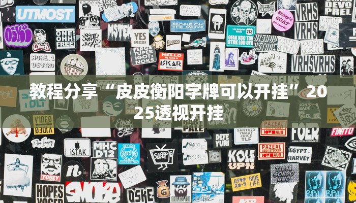 教程分享“皮皮衡阳字牌可以开挂”2025透视开挂