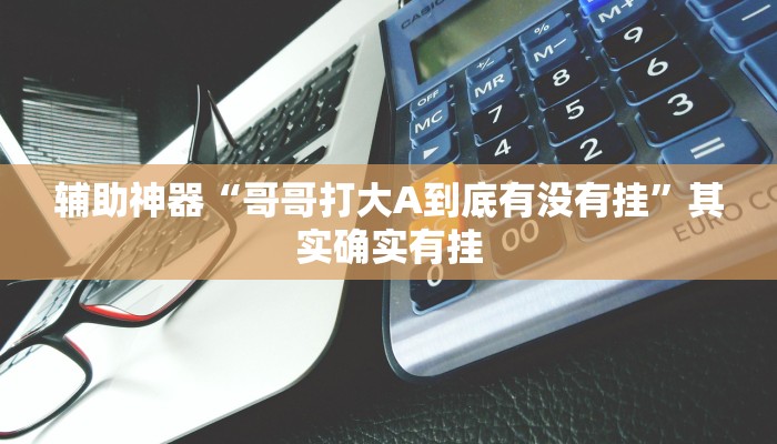 辅助神器“哥哥打大A到底有没有挂”其实确实有挂 辅助神器“哥哥打大A到底有没有挂”其实确实有挂