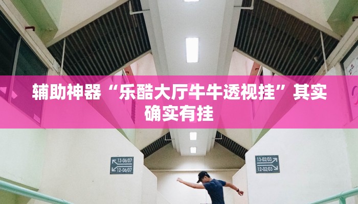 辅助神器“乐酷大厅牛牛透视挂”其实确实有挂