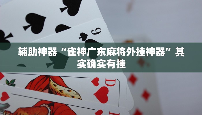 教程分享“HHPoKer透 视挂开挂教程”2025透视开挂