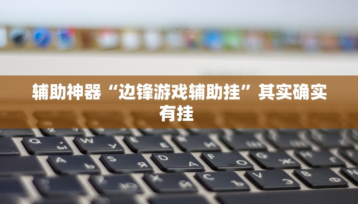 辅助神器“边锋游戏辅助挂”其实确实有挂 