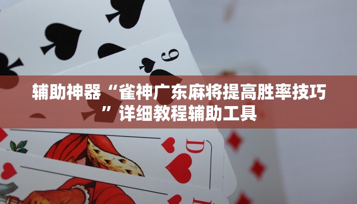 辅助神器“雀神广东麻将提高胜率技巧”详细教程辅助工具