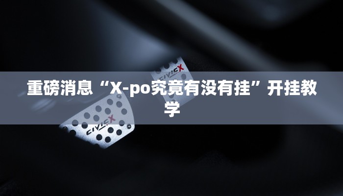 重磅消息“X-po究竟有没有挂”开挂教学