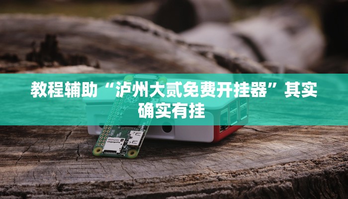 教程辅助“泸州大贰免费开挂器”其实确实有挂 