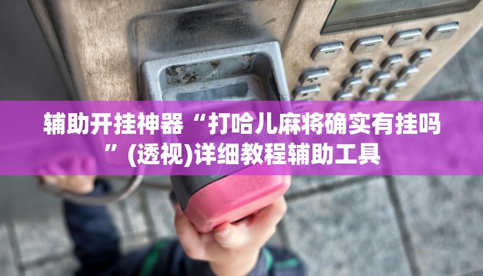辅助开挂神器“打哈儿麻将确实有挂吗”(透视)详细教程辅助工具