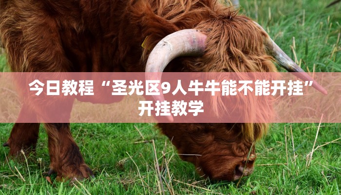 今日教程“圣光区9人牛牛能不能开挂”开挂教学